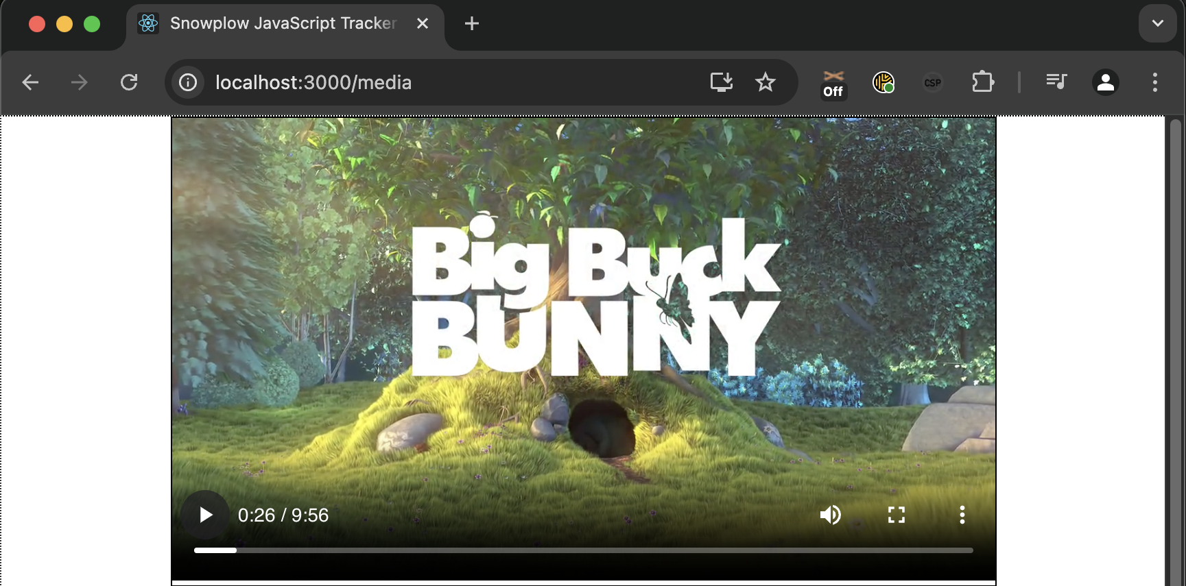 Video playing on the website